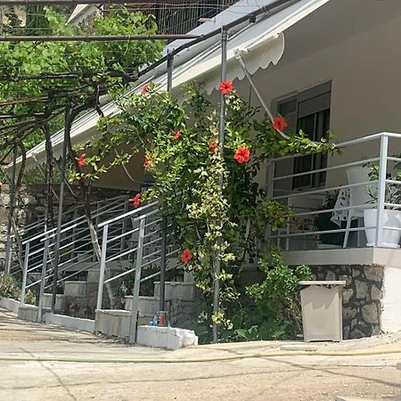 Qeparo View Rooms 외부 사진