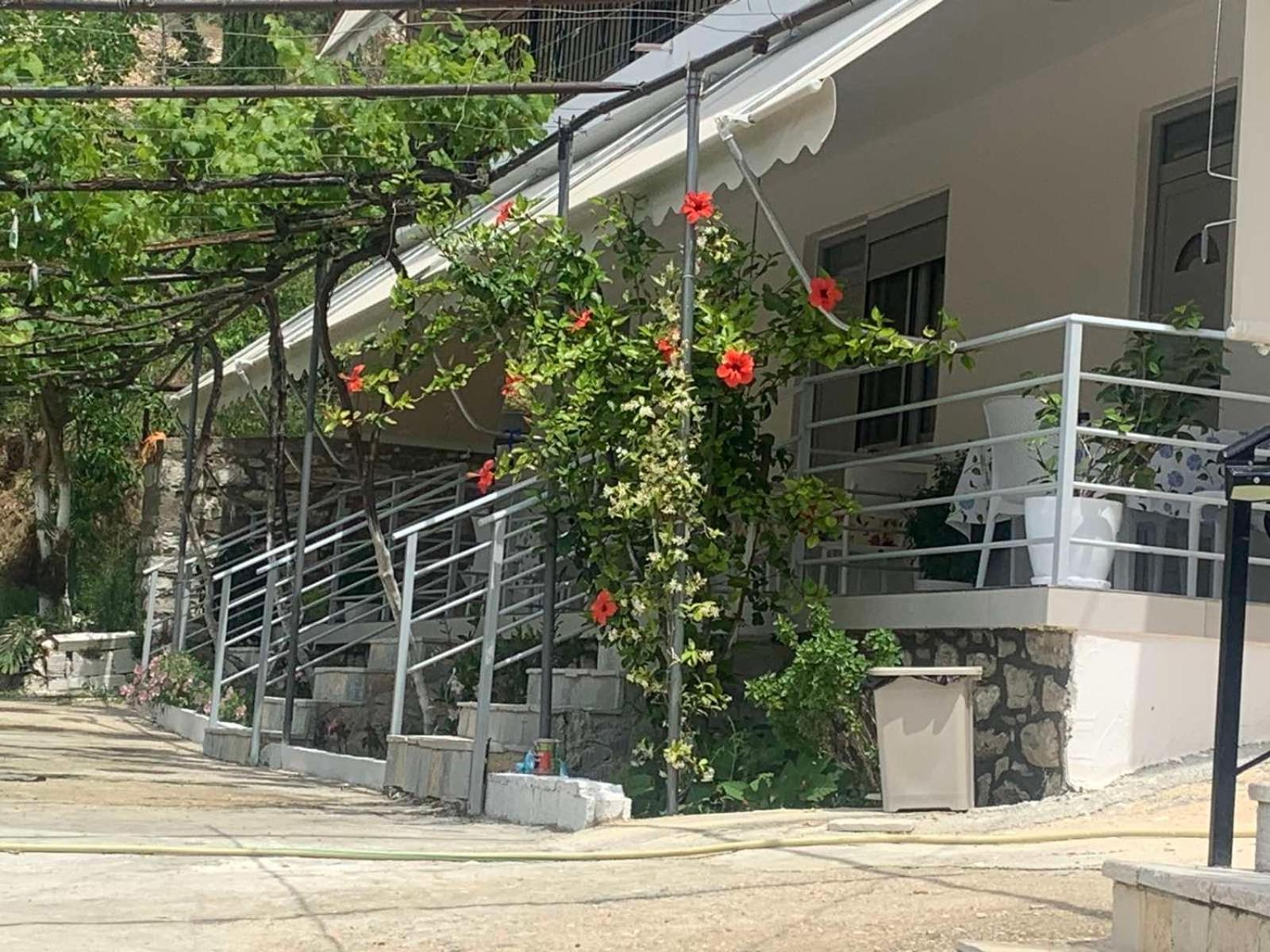 Qeparo View Rooms 외부 사진