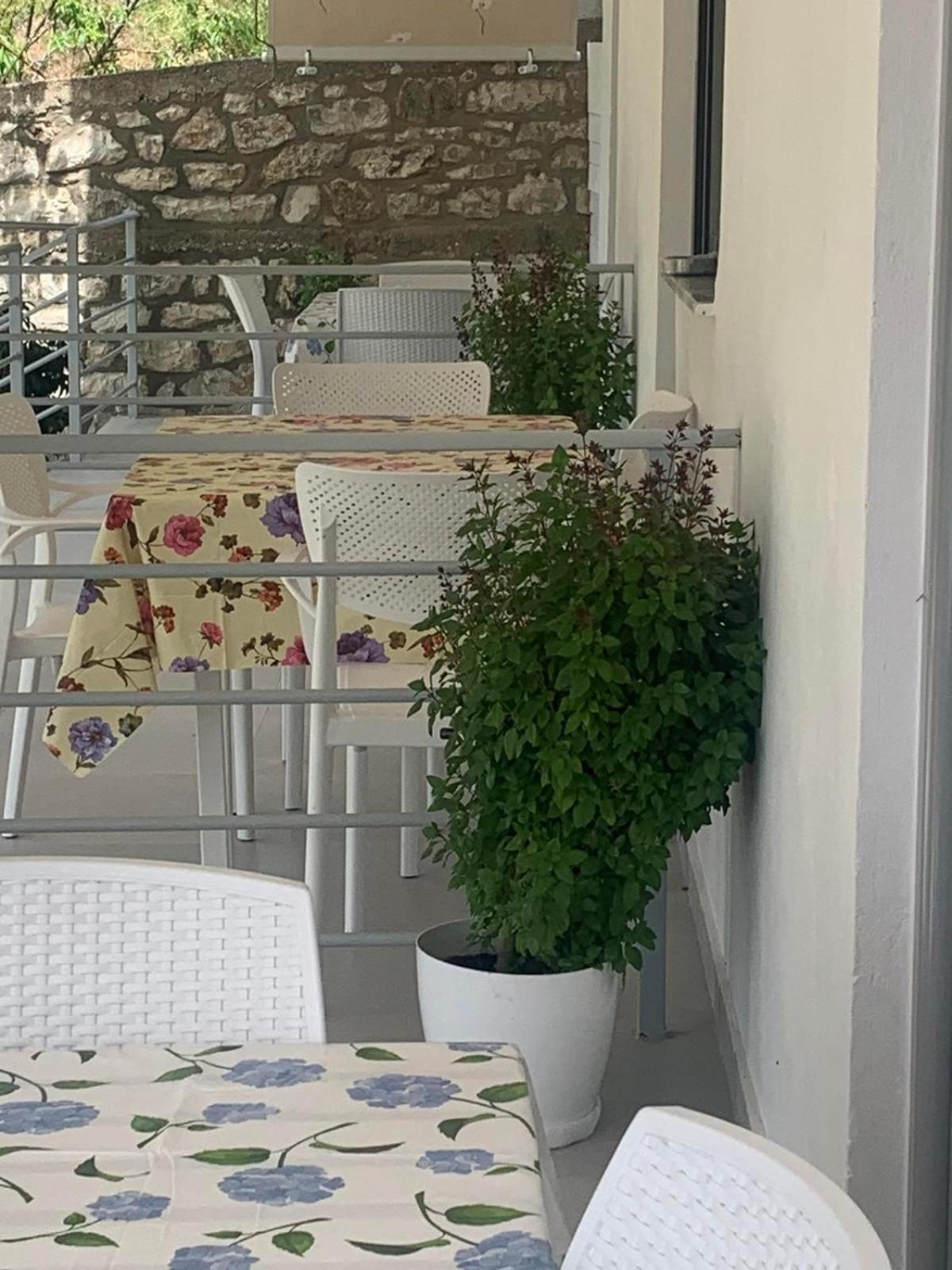 Qeparo View Rooms 외부 사진
