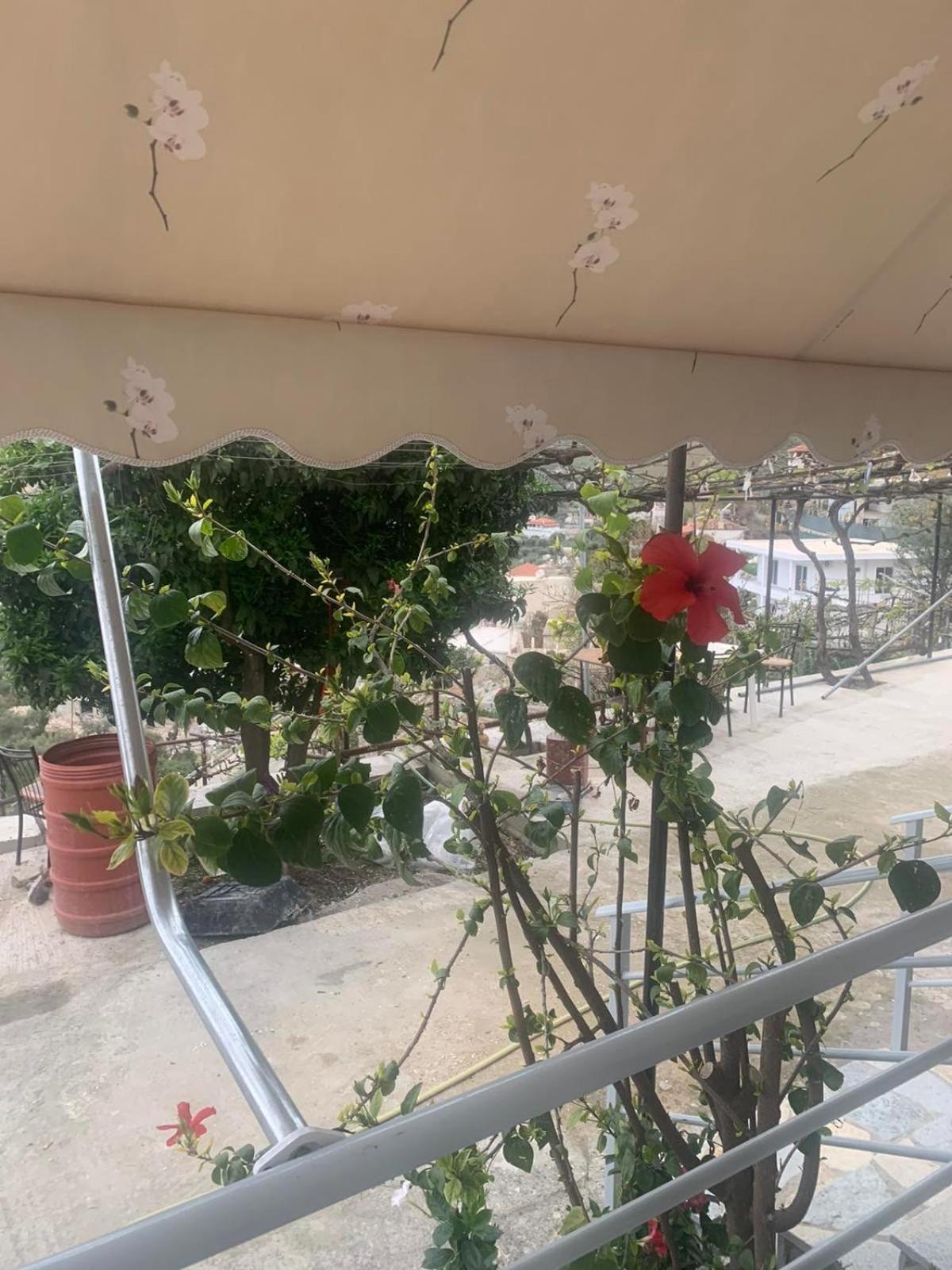 Qeparo View Rooms 외부 사진